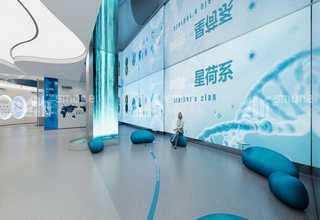 丽江阳光益生菌的故事