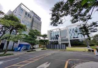 上海室内草坪养护费用