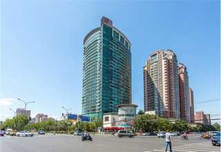 山东N920手套推荐厂家