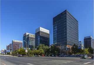 山西油茶果烘干机生产线